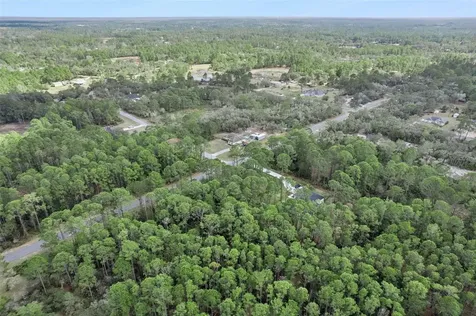 Cashew Street Eustis FL 32736