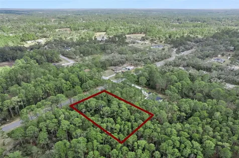 Cashew Street Eustis FL 32736