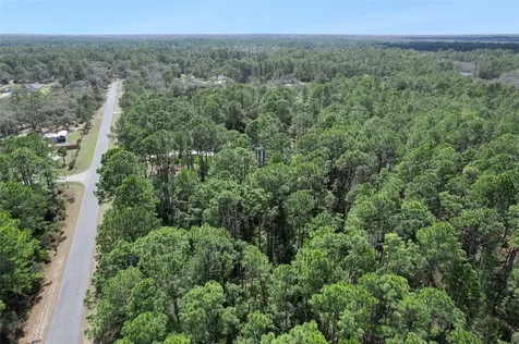 Cashew Street Eustis FL 32736