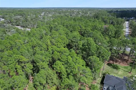 Cashew Street Eustis FL 32736