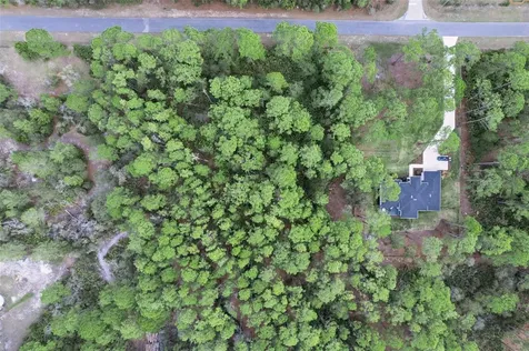 Cashew Street Eustis FL 32736