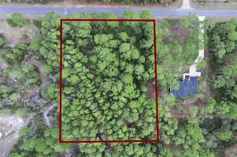 Cashew Street Eustis FL 32736