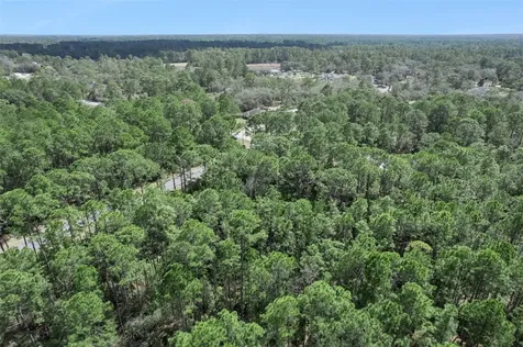 Cashew Street Eustis FL 32736