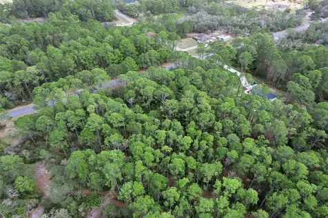 Cashew Street Eustis FL 32736