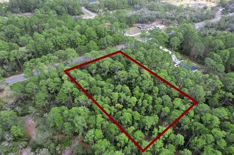 Cashew Street Eustis FL 32736