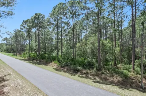 Cashew Street Eustis FL 32736