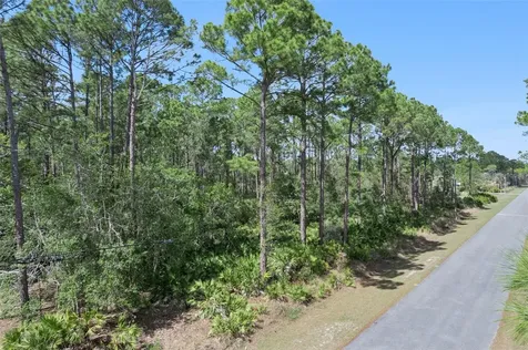 Cashew Street Eustis FL 32736