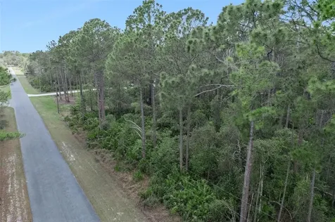Cashew Street Eustis FL 32736