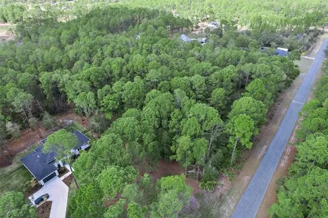 Cashew Street Eustis FL 32736