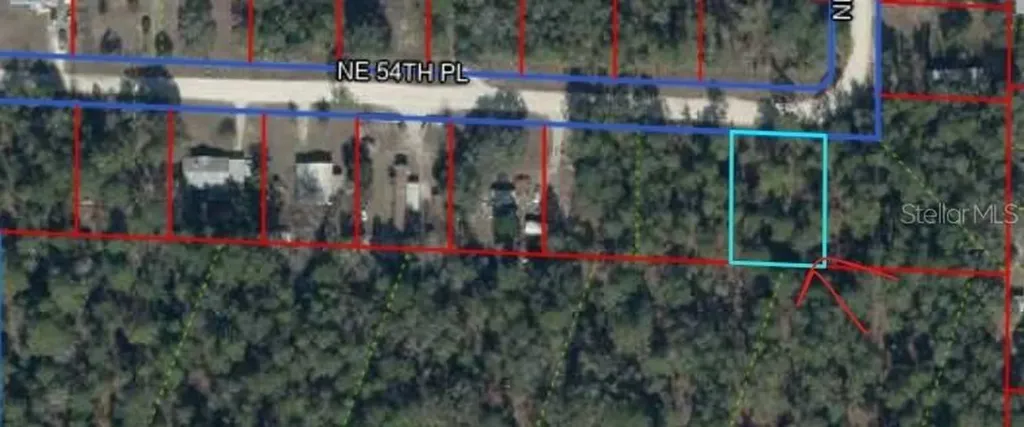 NE 54 Place Williston FL 32696