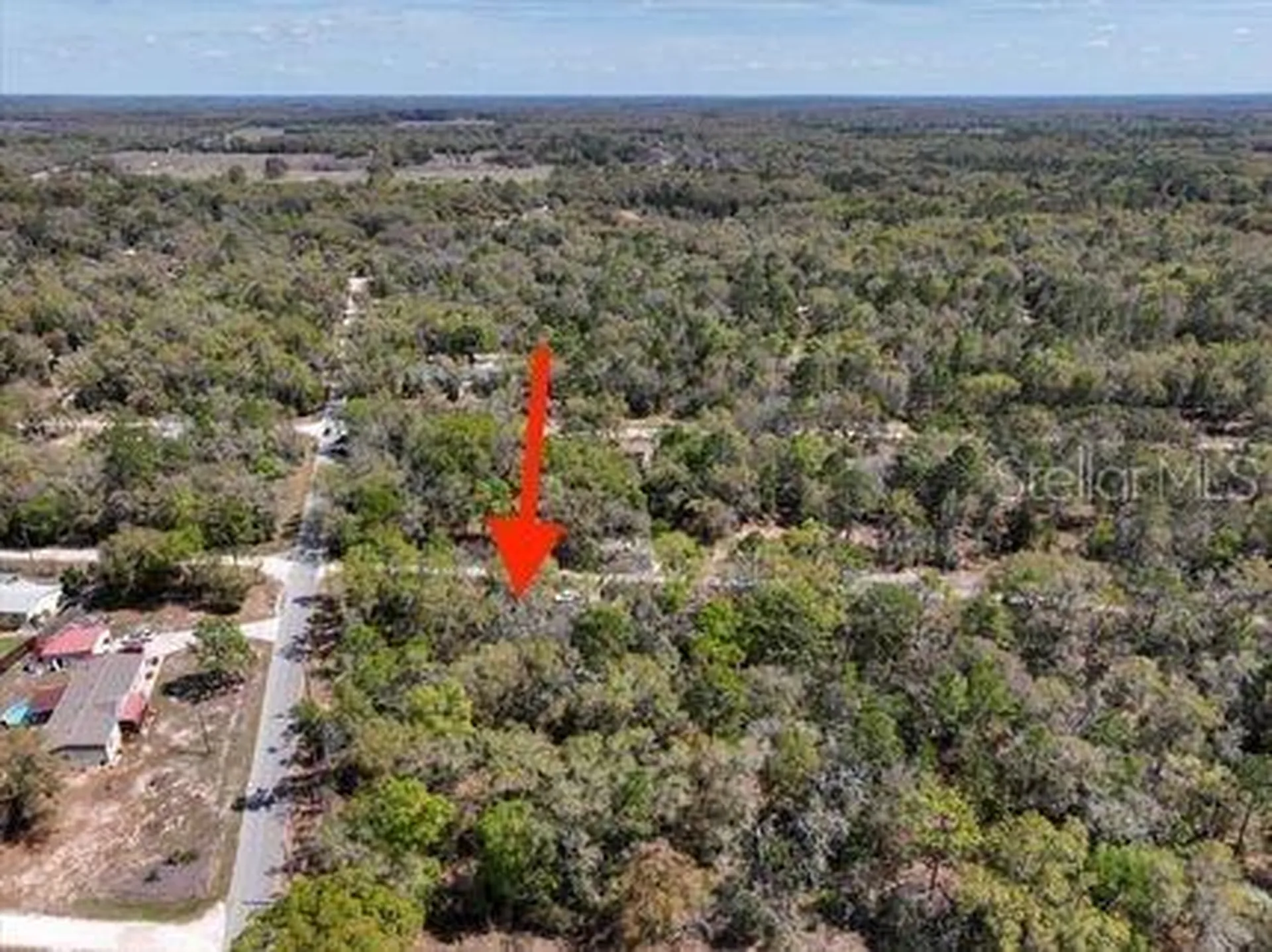 NE 54 Place Williston FL 32696