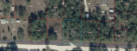 NE 54 Place Williston FL 32696