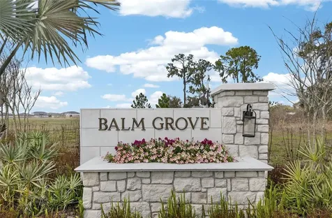 13054 Violet Flame Avenue Wimauma FL 33598