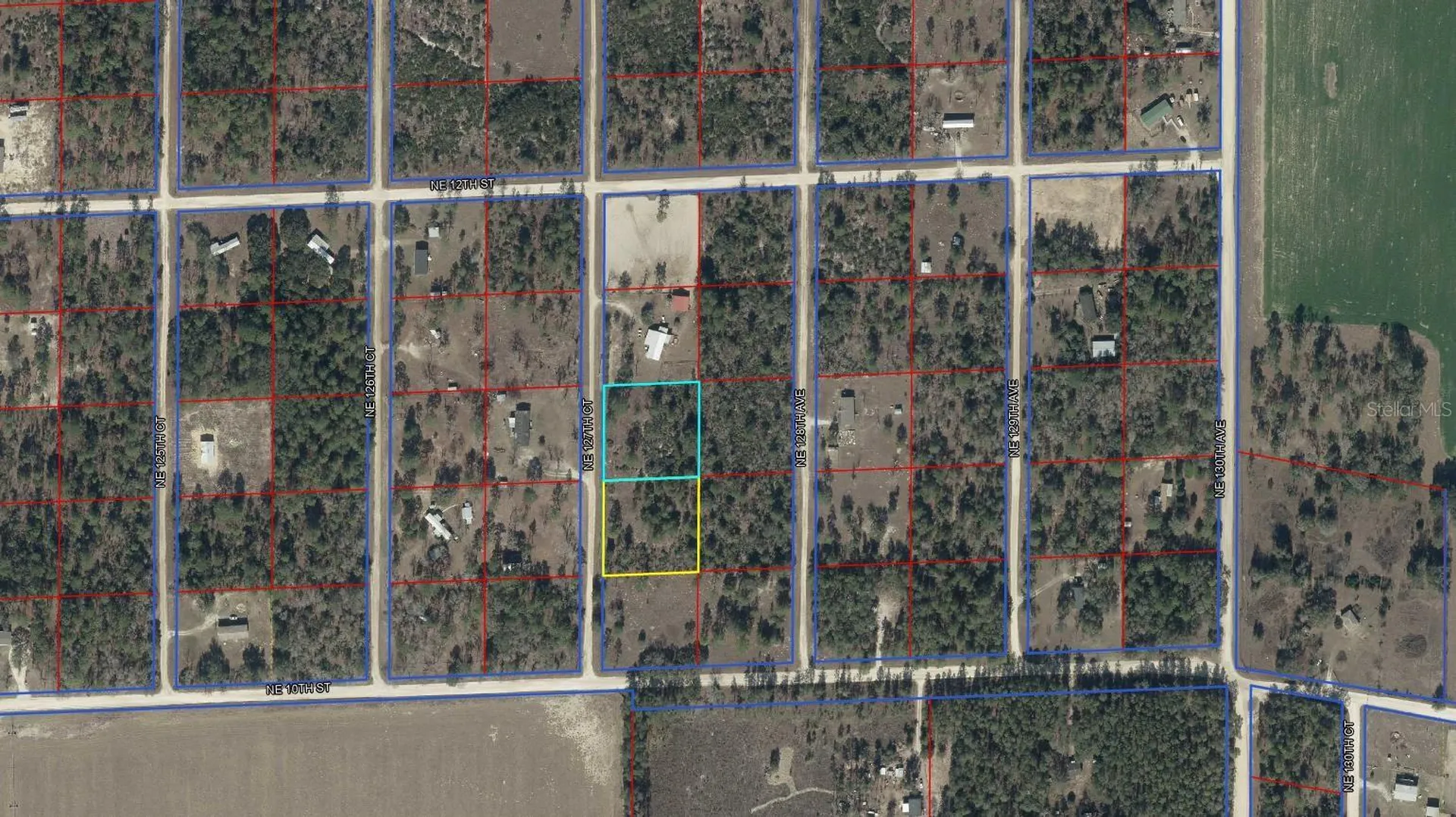 1091 NE 127th Court Williston FL 32696