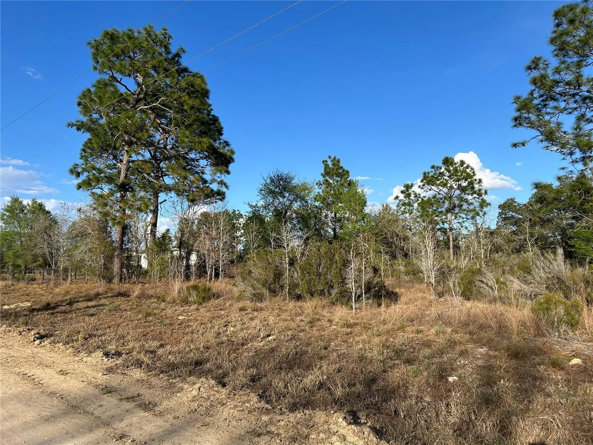 1091 NE 127th Court Williston FL 32696
