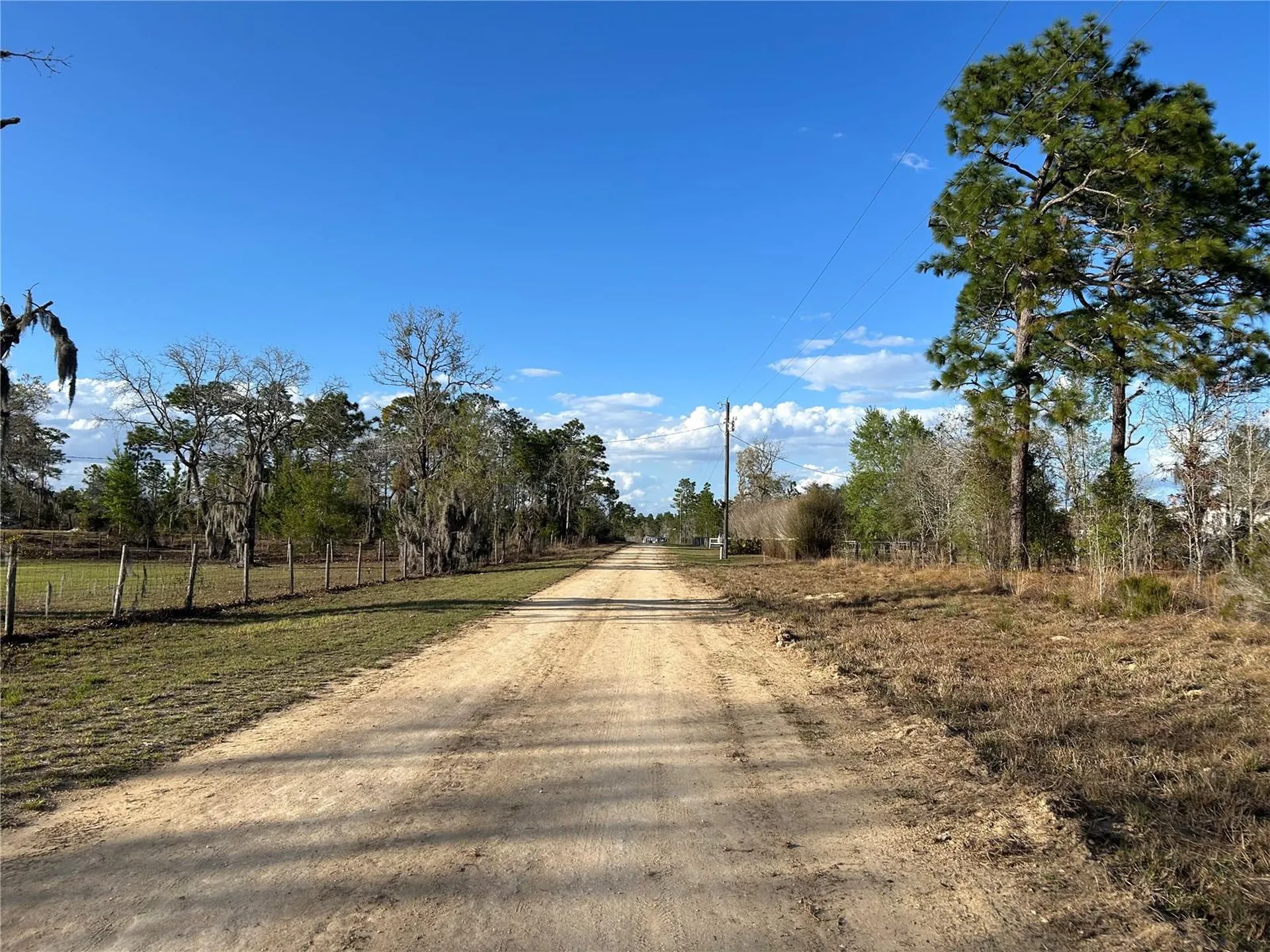 1091 NE 127th Court Williston FL 32696