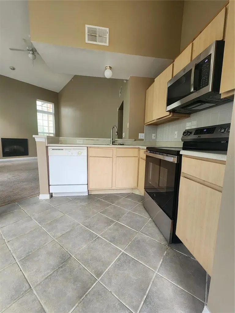 1101 Vintage Village Lane Ocoee FL 34761