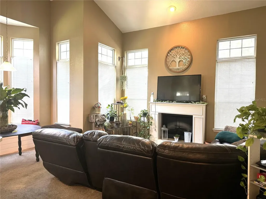 1101 Vintage Village Lane Ocoee FL 34761
