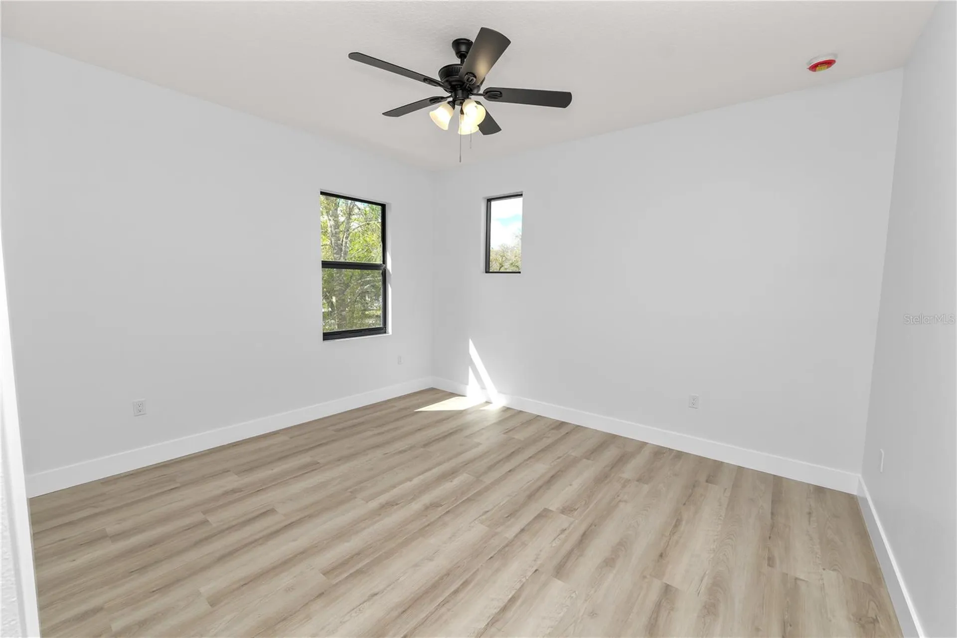 7304 Ardenwood Tampa FL 33625