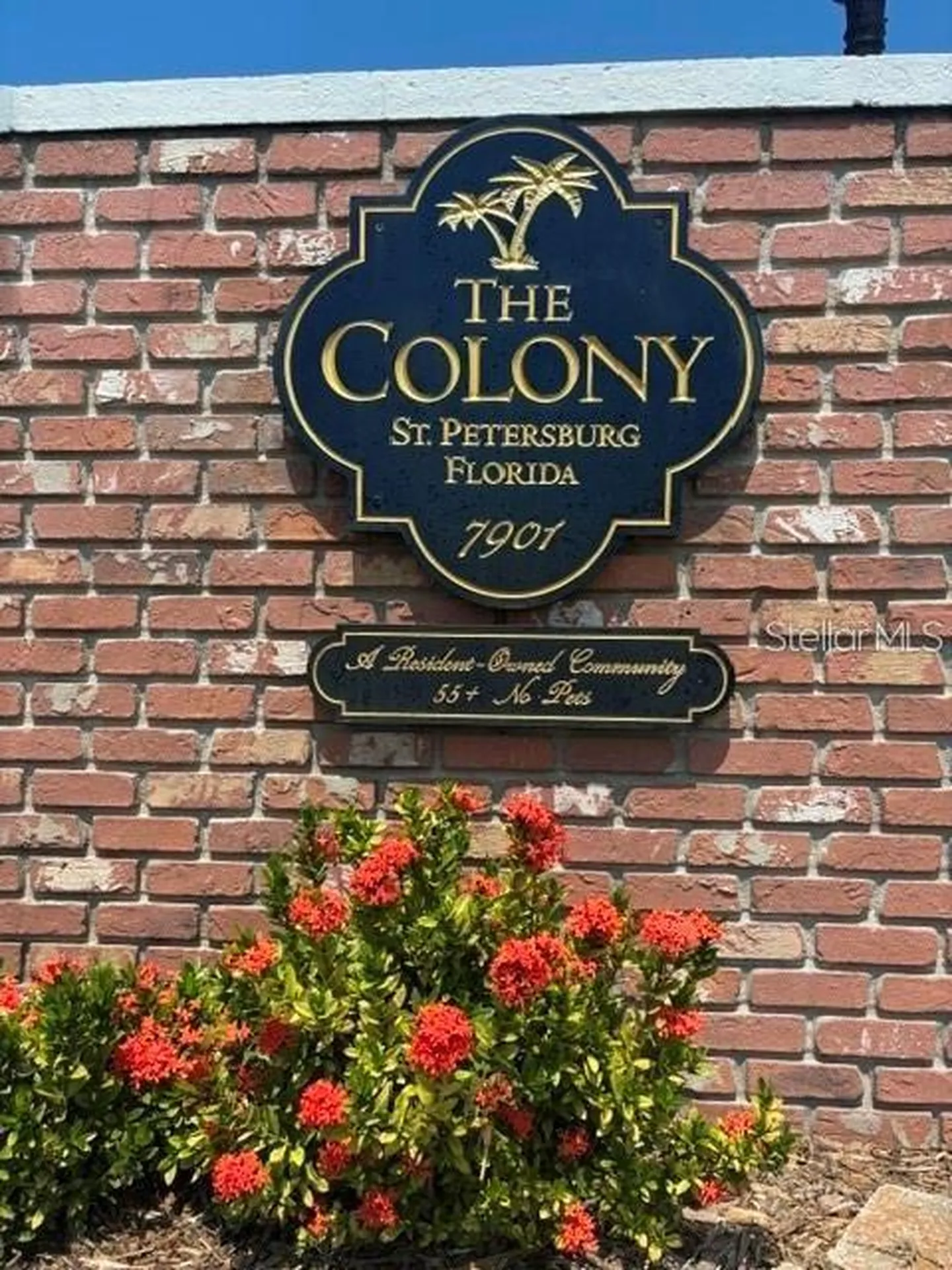 7901 40th Avenue N St Petersburg FL 33709