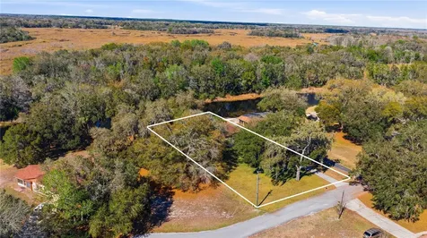 49 N Archwood Drive Inverness FL 34450