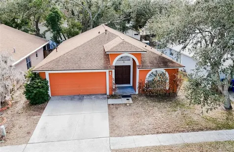1103 Mallory Point Drive Valrico FL 33596