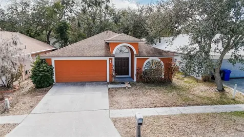 1103 Mallory Point Drive Valrico FL 33596