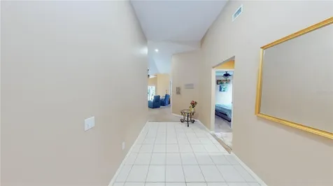 1103 Mallory Point Drive Valrico FL 33596