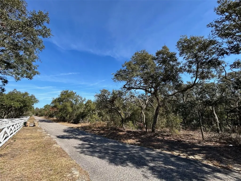 0 Black Bear Lane Winter Garden FL 34787