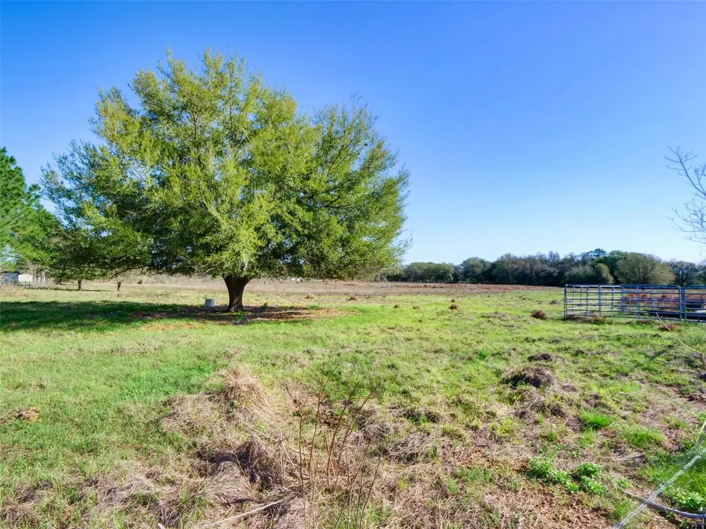 000000- Cr 614a Bushnell FL 33513