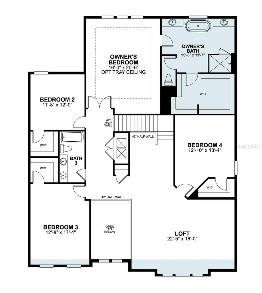 854 Creeping Fig Street Apopka FL 32703