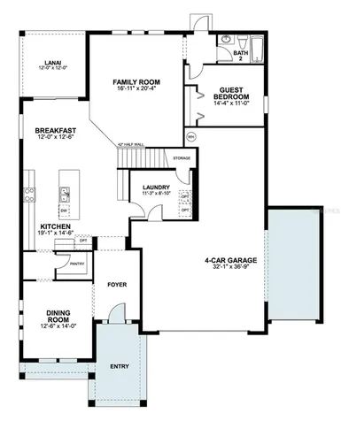 854 Creeping Fig Street Apopka FL 32703