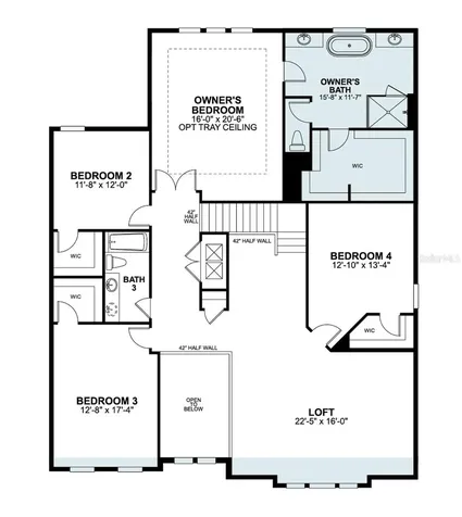 854 Creeping Fig Street Apopka FL 32703