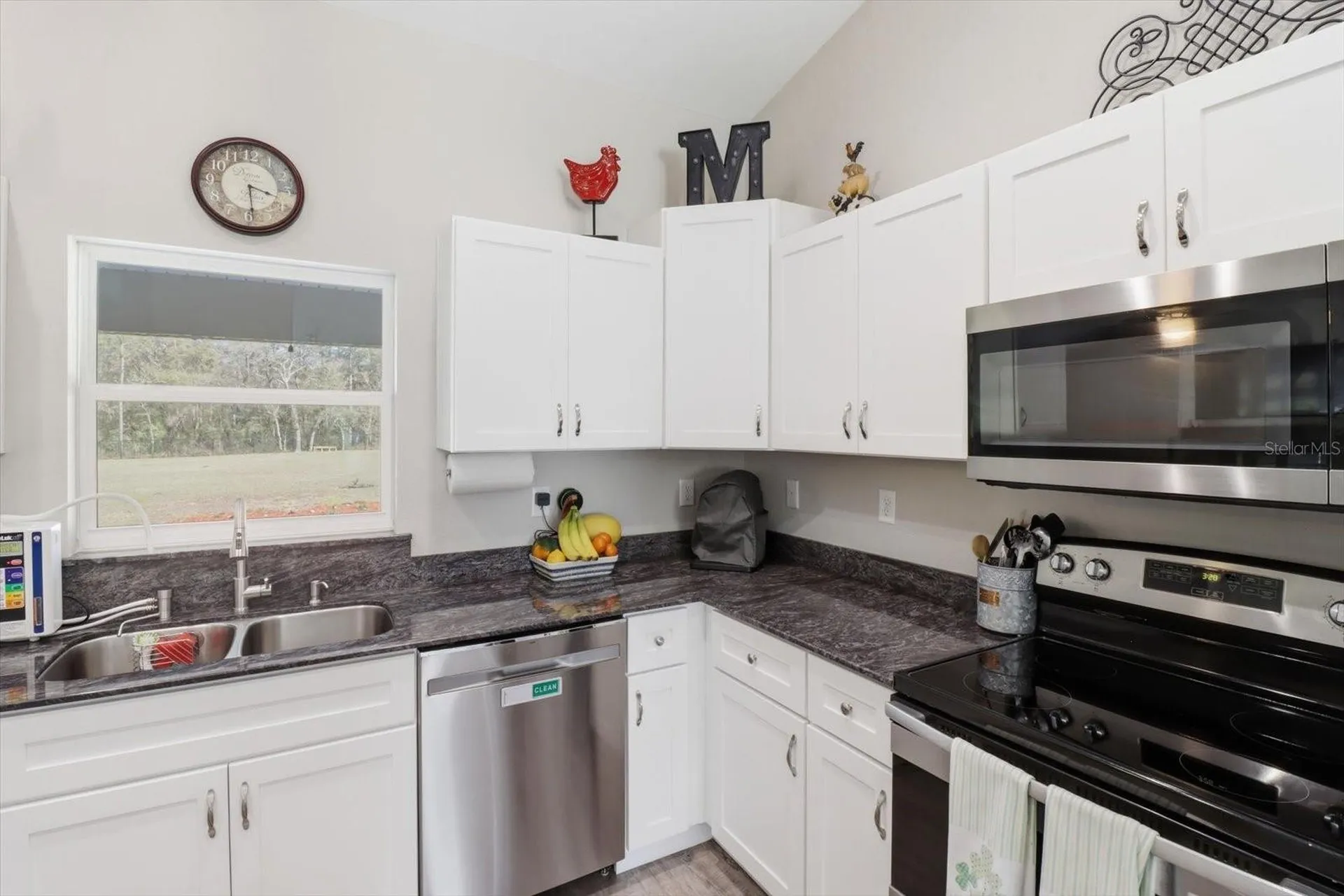8199 SW 129th Terrace Road Dunnellon FL 34432