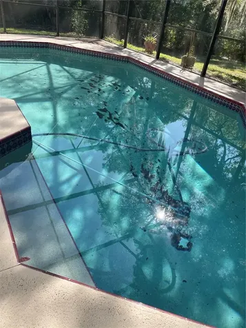 1003 Foggy Brook Place Longwood FL 32750