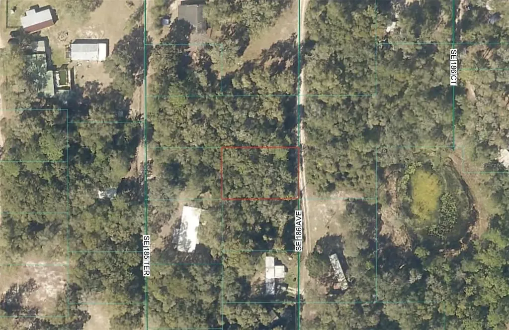 Tbd SE 186th Avenue Ocklawaha FL 32179