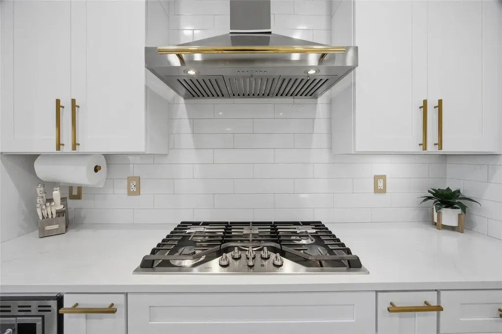 29003 Trevi Place Wesley Chapel FL 33543