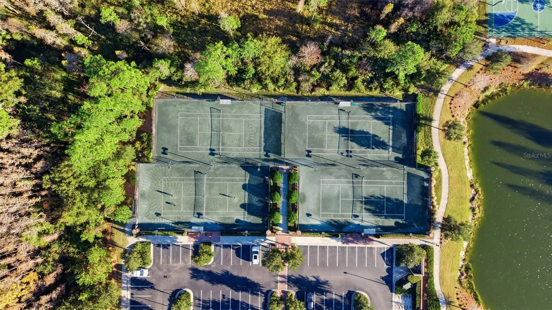 29003 Trevi Place Wesley Chapel FL 33543