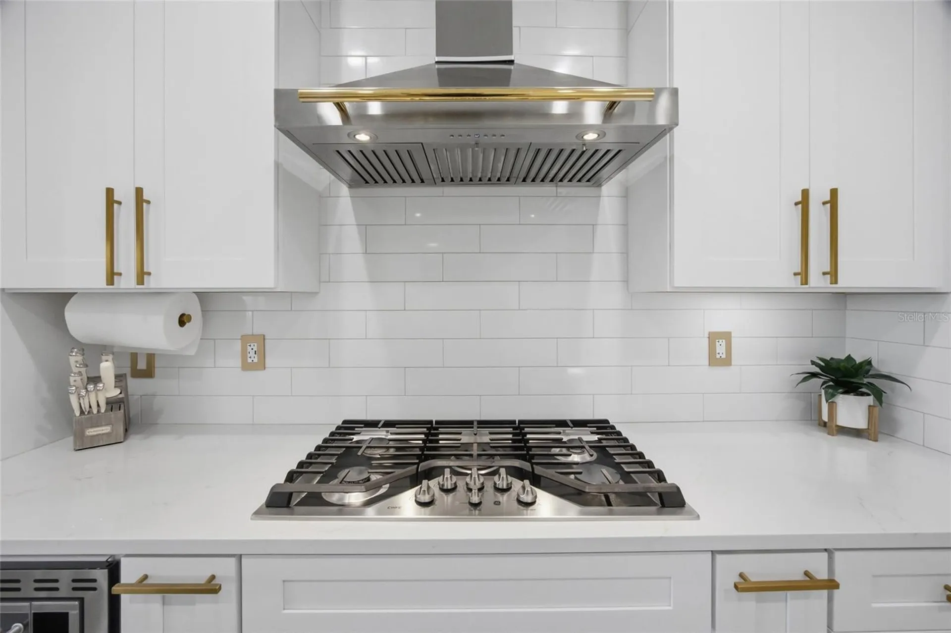 29003 Trevi Place Wesley Chapel FL 33543