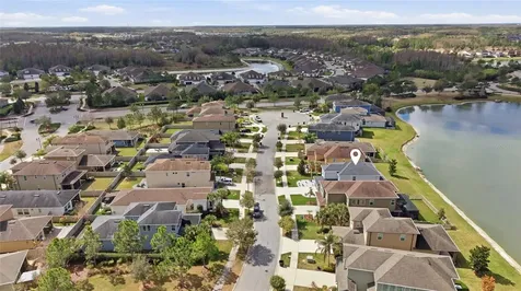 29003 Trevi Place Wesley Chapel FL 33543
