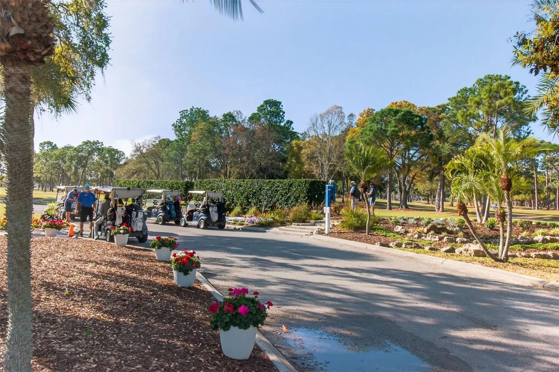 2621 Cove Cay Drive Clearwater FL 33760