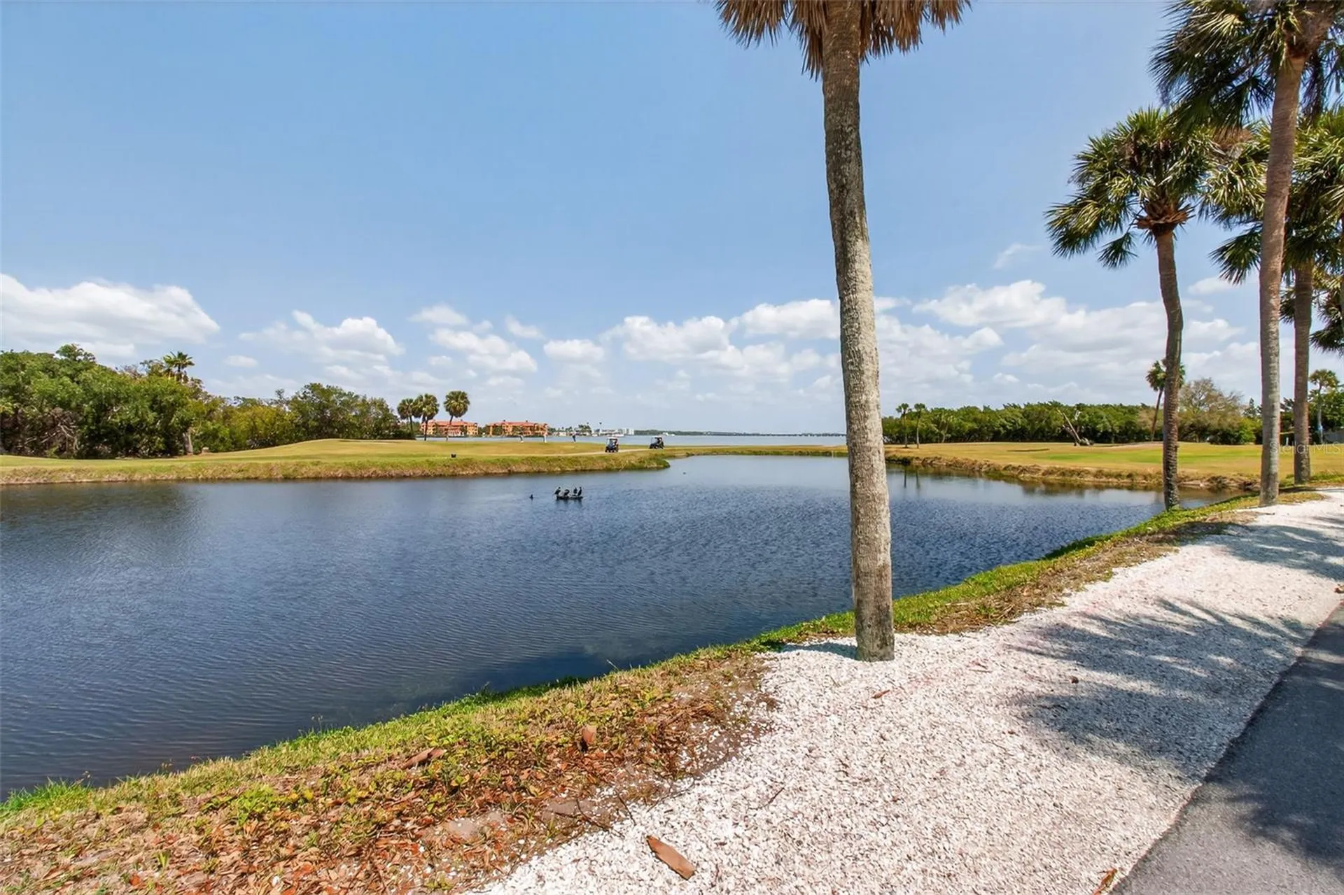 2621 Cove Cay Drive Clearwater FL 33760