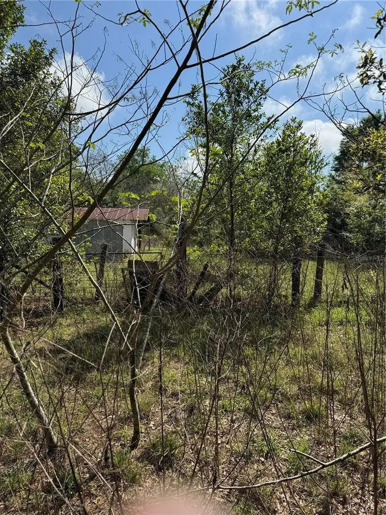 2551 SW 107th Place Ocala FL 34476