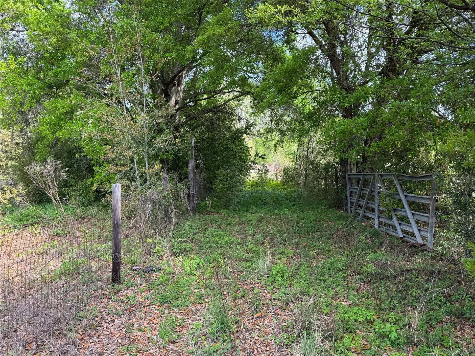2551 SW 107th Place Ocala FL 34476