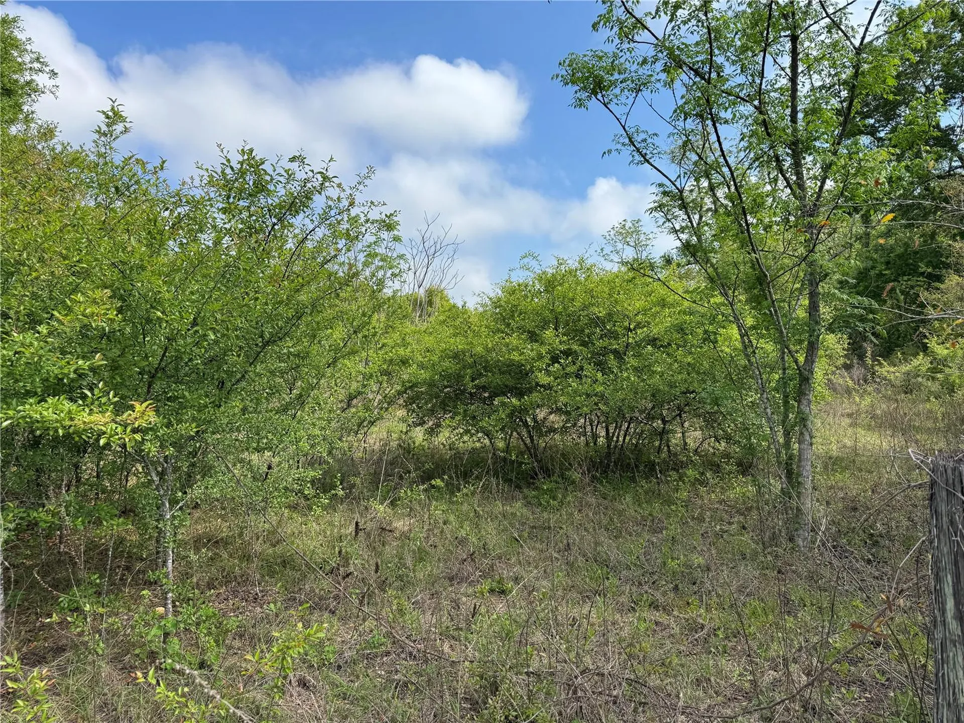 2551 SW 107th Place Ocala FL 34476