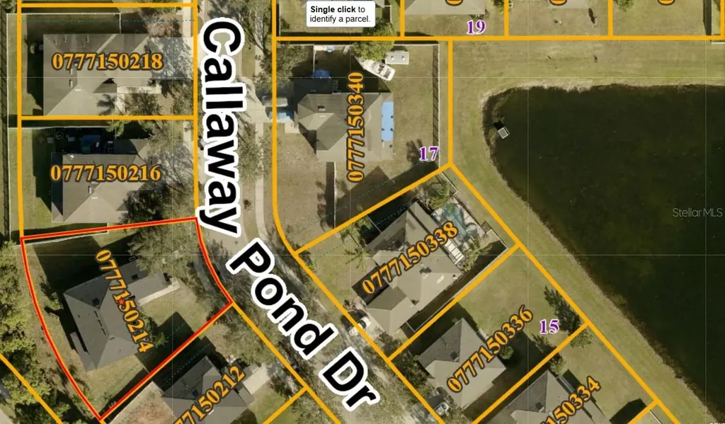 11314 Callaway Pond Drive Riverview FL 33579