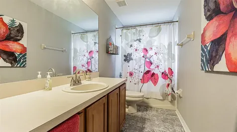 11314 Callaway Pond Drive Riverview FL 33579