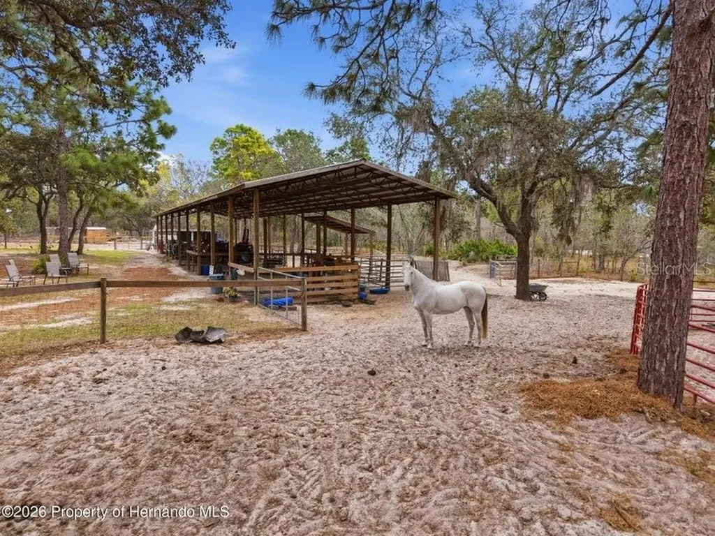 12124 Squeeze Avenue Brooksville FL 34614