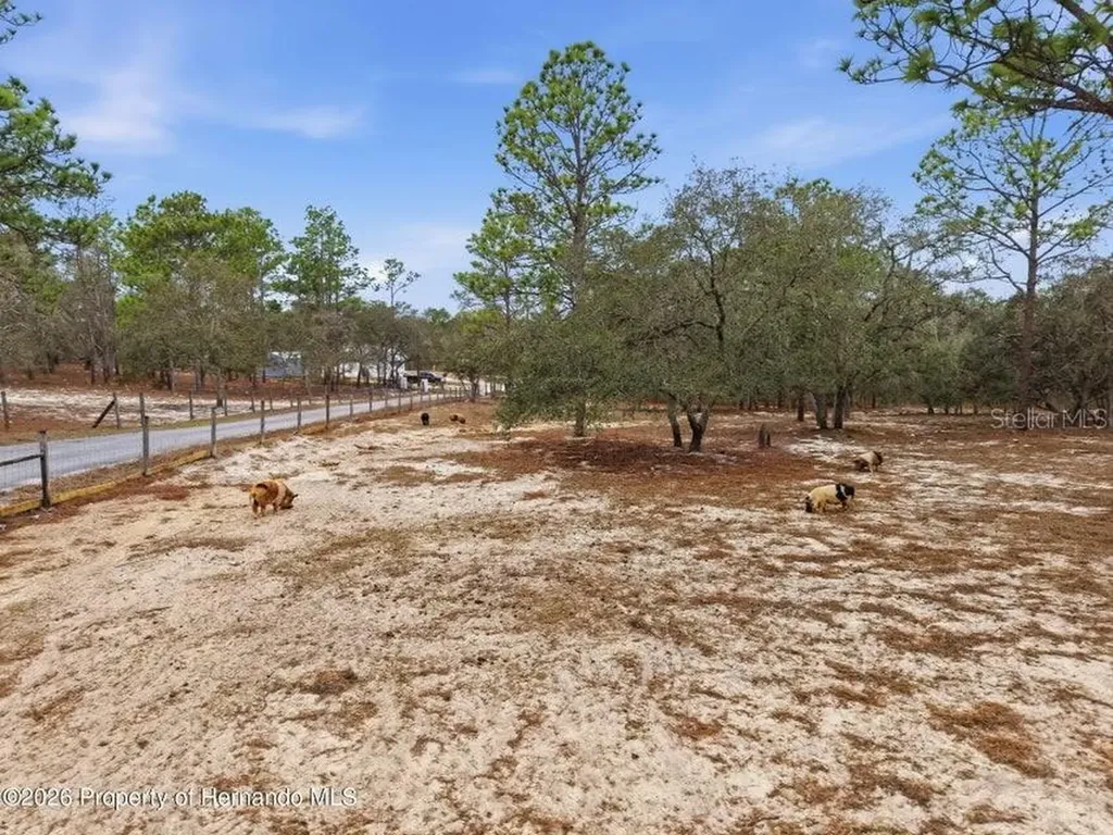 12124 Squeeze Avenue Brooksville FL 34614