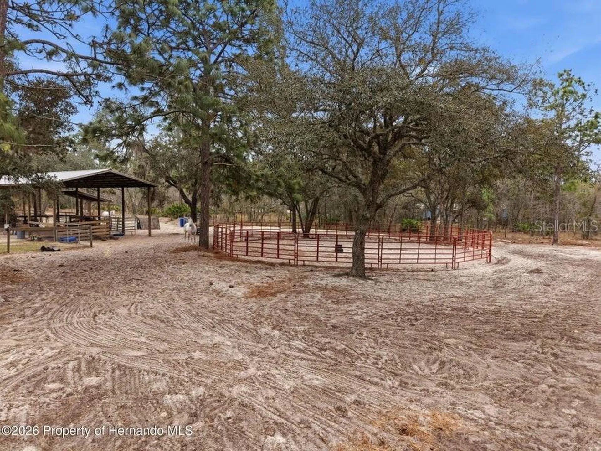 12124 Squeeze Avenue Brooksville FL 34614